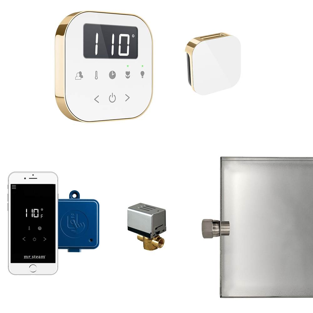 Mr. Steam AirButler Steam Shower Control Package with AirTempo Control and Aroma Glass SteamHead in White Polished Brass