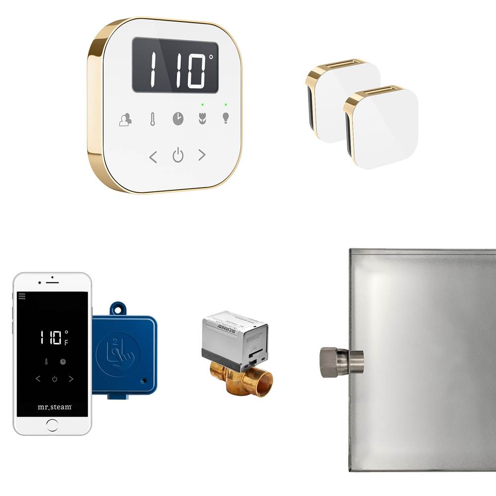 Mr. Steam AirButler Max Steam Shower Control Package with AirTempo Control and Aroma Glass SteamHead in White Polished Brass