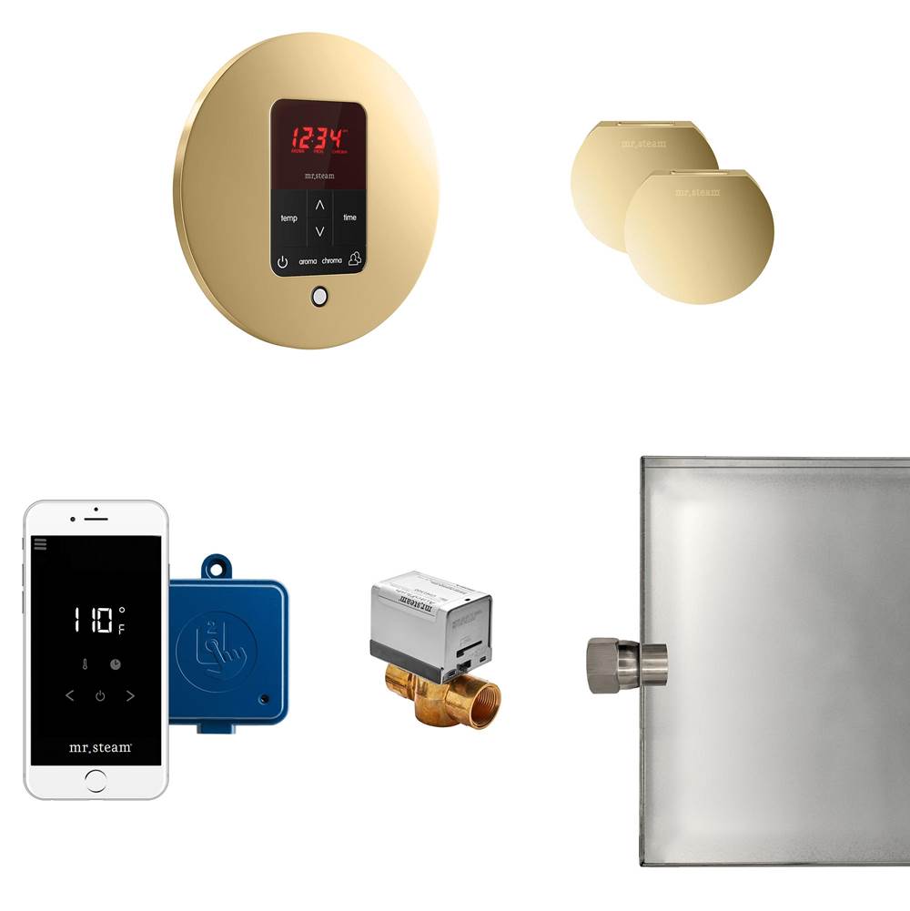 Mr. Steam Butler Max Steam Shower Control Package with iTempoPlus Control and Aroma Designer SteamHead in Round Polished Brass