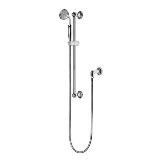 Waterworks Easton Classic Handshower On Bar with Metal Handle in Matte Gold, 2.5gpm